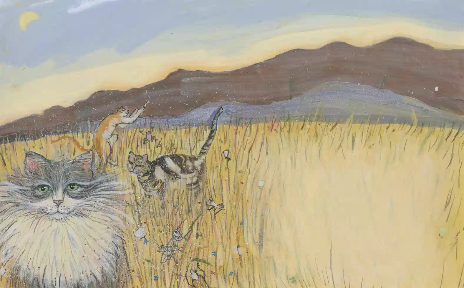 jack-the-cats-dream-07