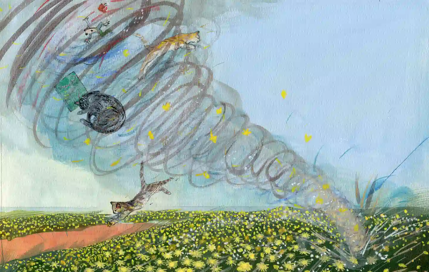 jack-thecats-wildflower-game-04