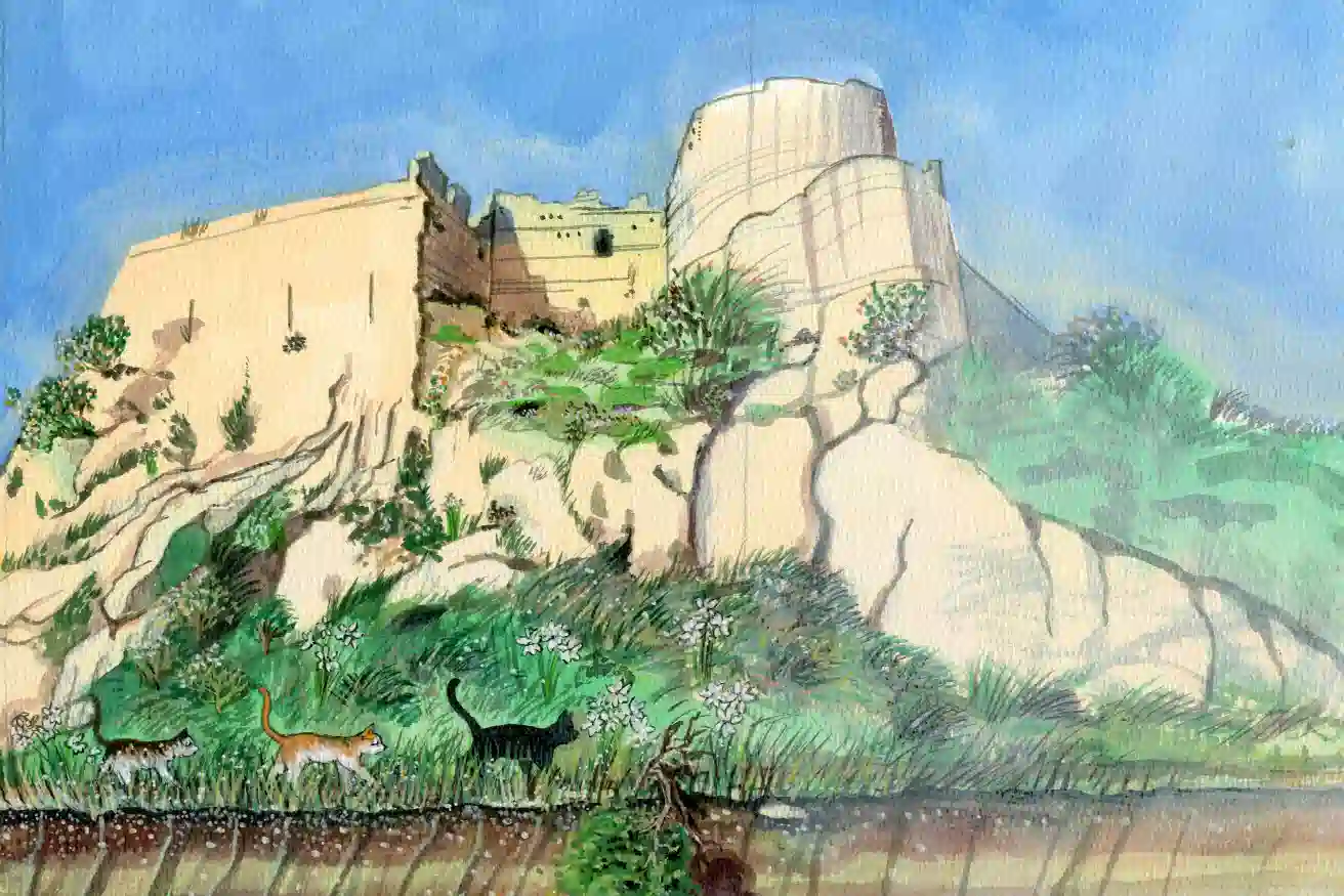 jack-thecats-wildflower-game-07